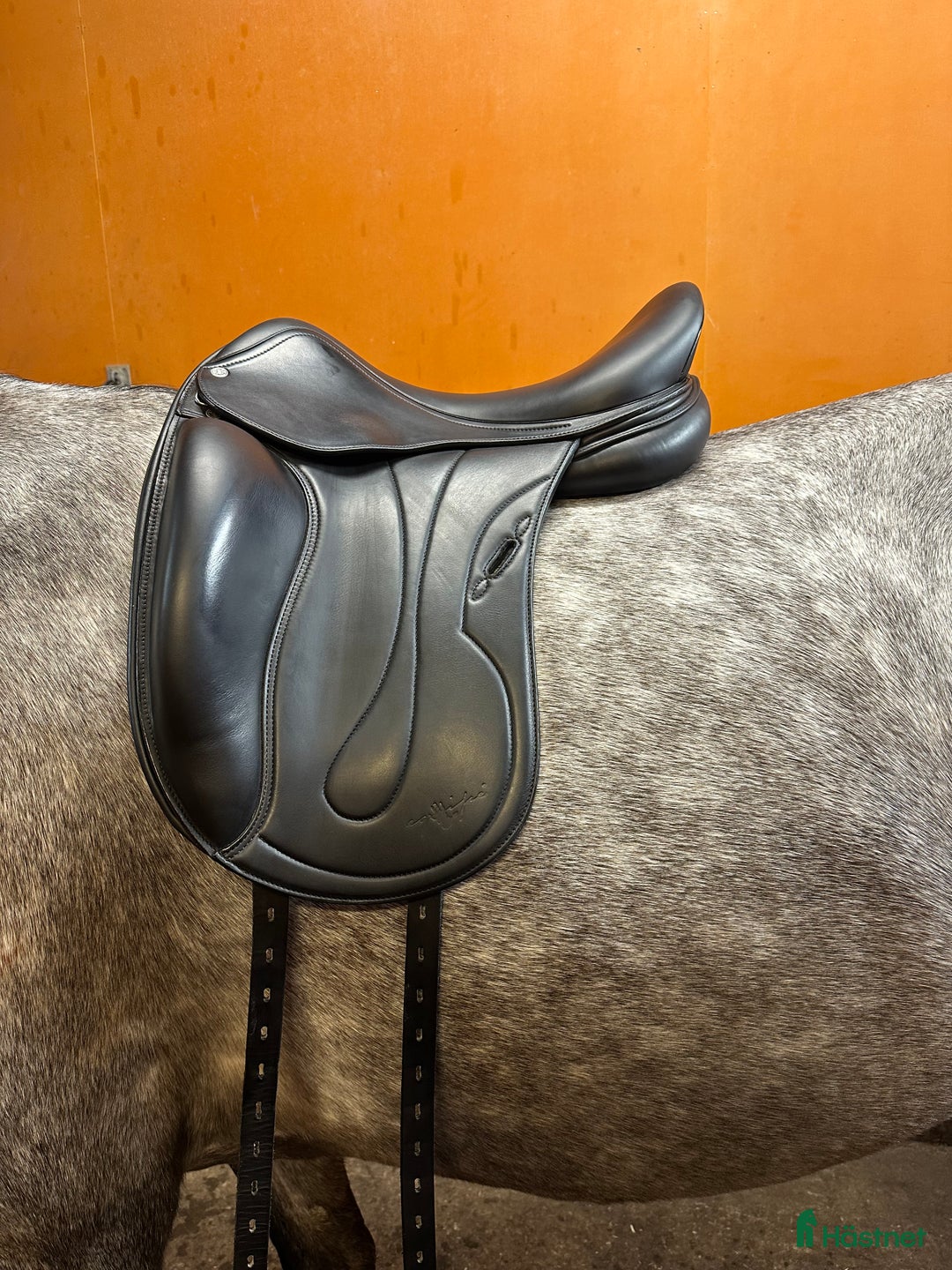 Sadlar hästutrustning till salu: Equipe Oracle i Nyskick i Norra Sorunda - Annons 1