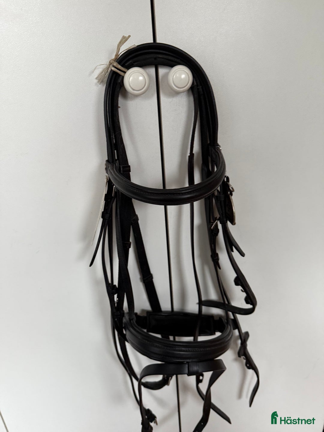 Träns hästutrustning till salu: Oanvänt Lemetex i Fjärås - Annons 1