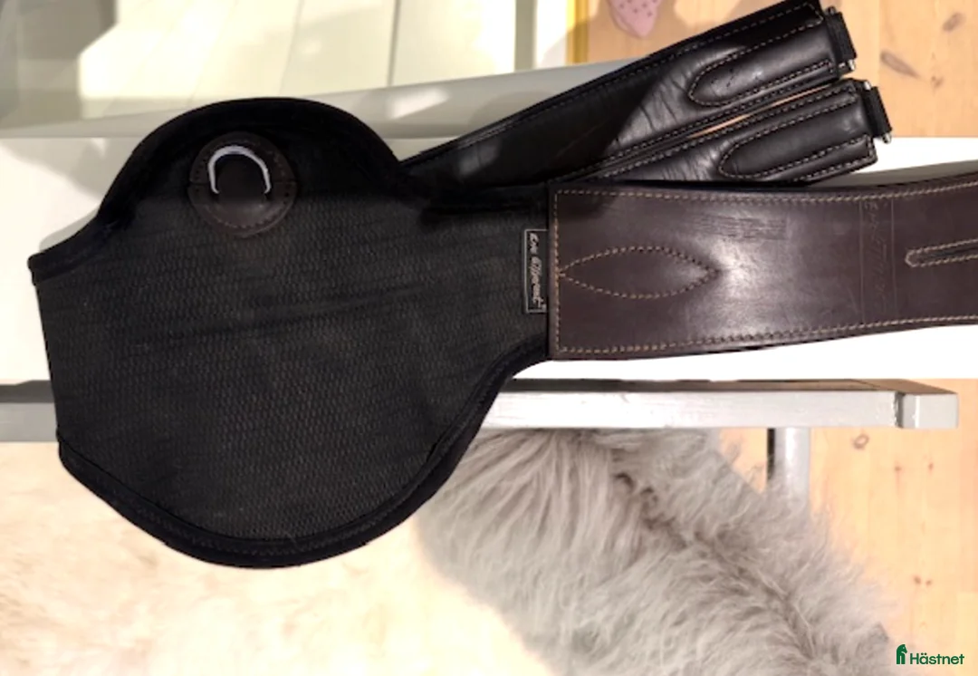 Sadeltillbehör hästutrustning till salu: Eric Le Tixerant Sadelgjord Hopp - Annons 1