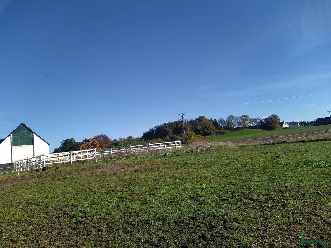  stallplats finnes: Hästboxar att hyra på en fantastisk tomt.  i Tomelilla - Annons 2