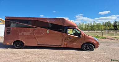 Hästlastbilar  fordon & transport till salu i Falun - Annons 6