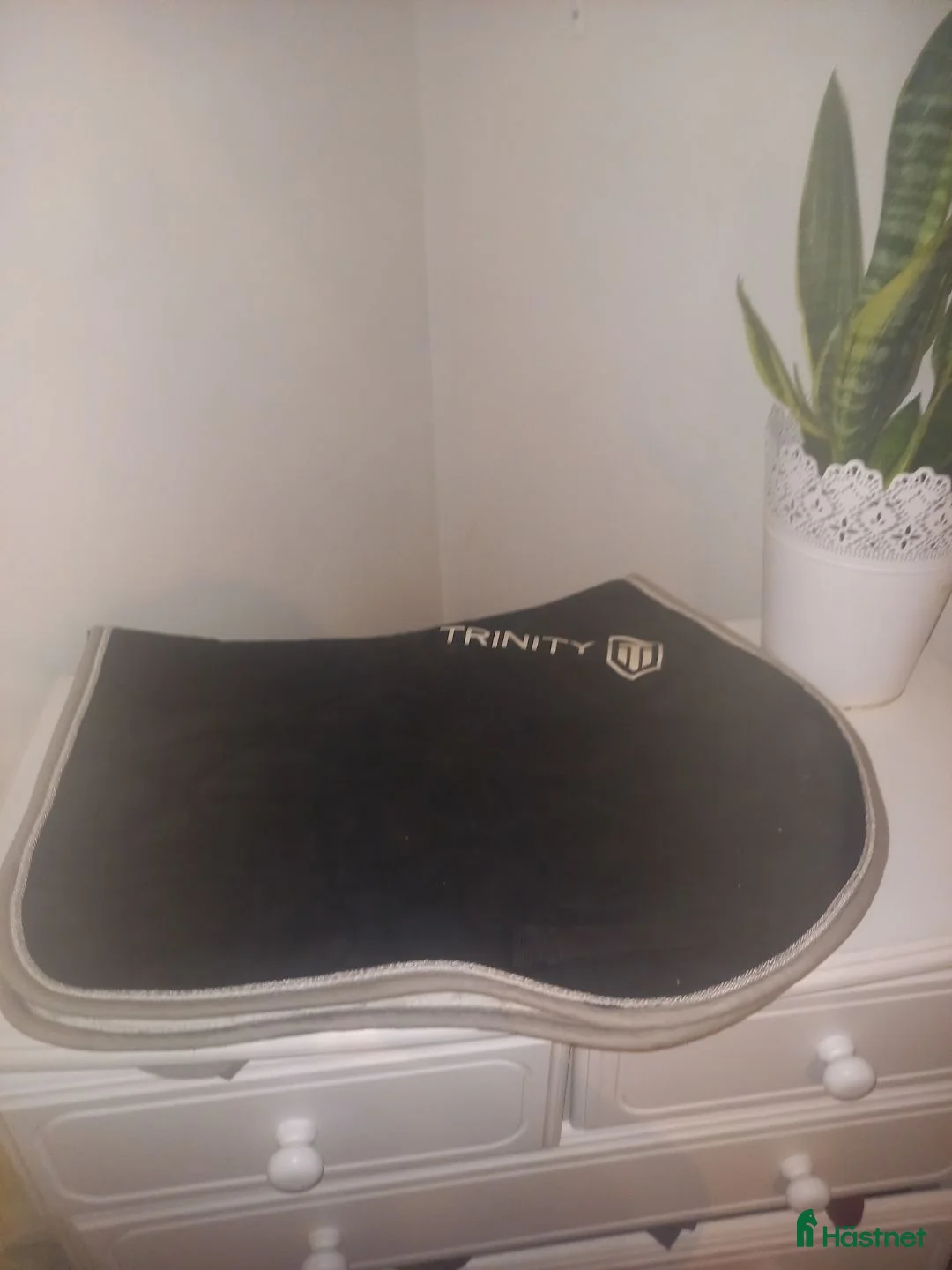 Schabrak & Vojlockar hästutrustning till salu: Fynda fina schabrak  - Annons 4