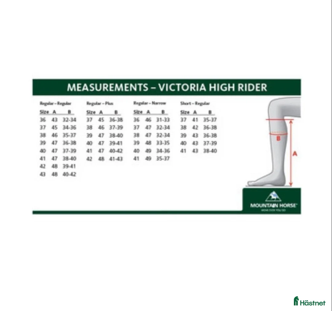 Ridstövlar ryttarutrustning till salu: Dressyrstövlar, Mountain Horse i Kungsör - Annons 8