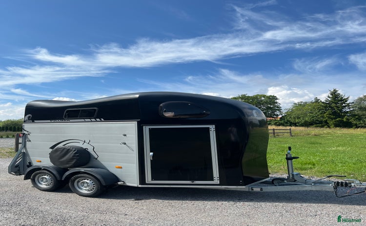 Hästtransporter  fordon & transport till salu i Vallentuna - Annons 4