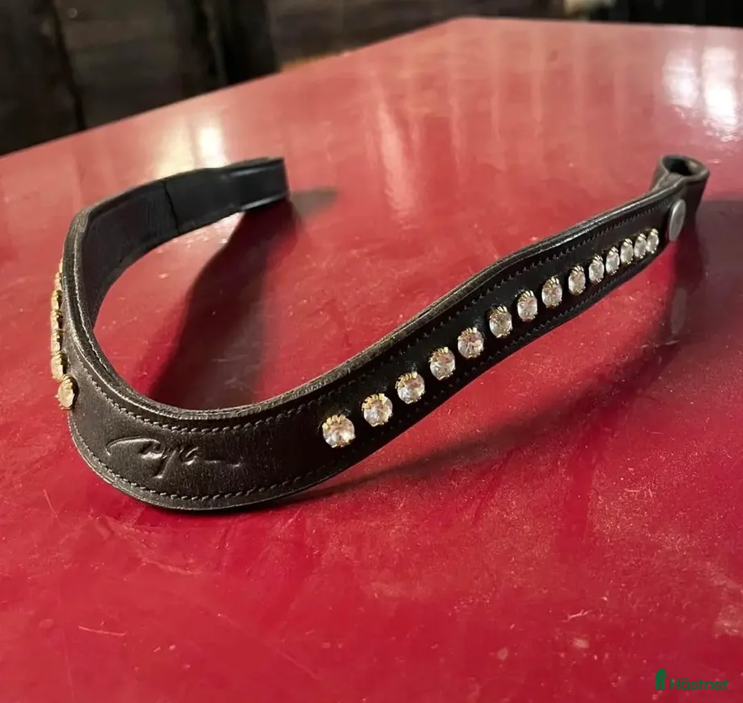 Träns hästutrustning till salu: Pannband dyon - Annons 1