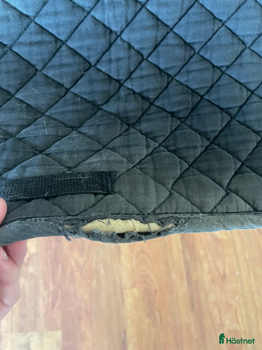 Schabrak & Vojlockar hästutrustning till salu: Schabrak säljes! i Västerfärnebo - Annons 10