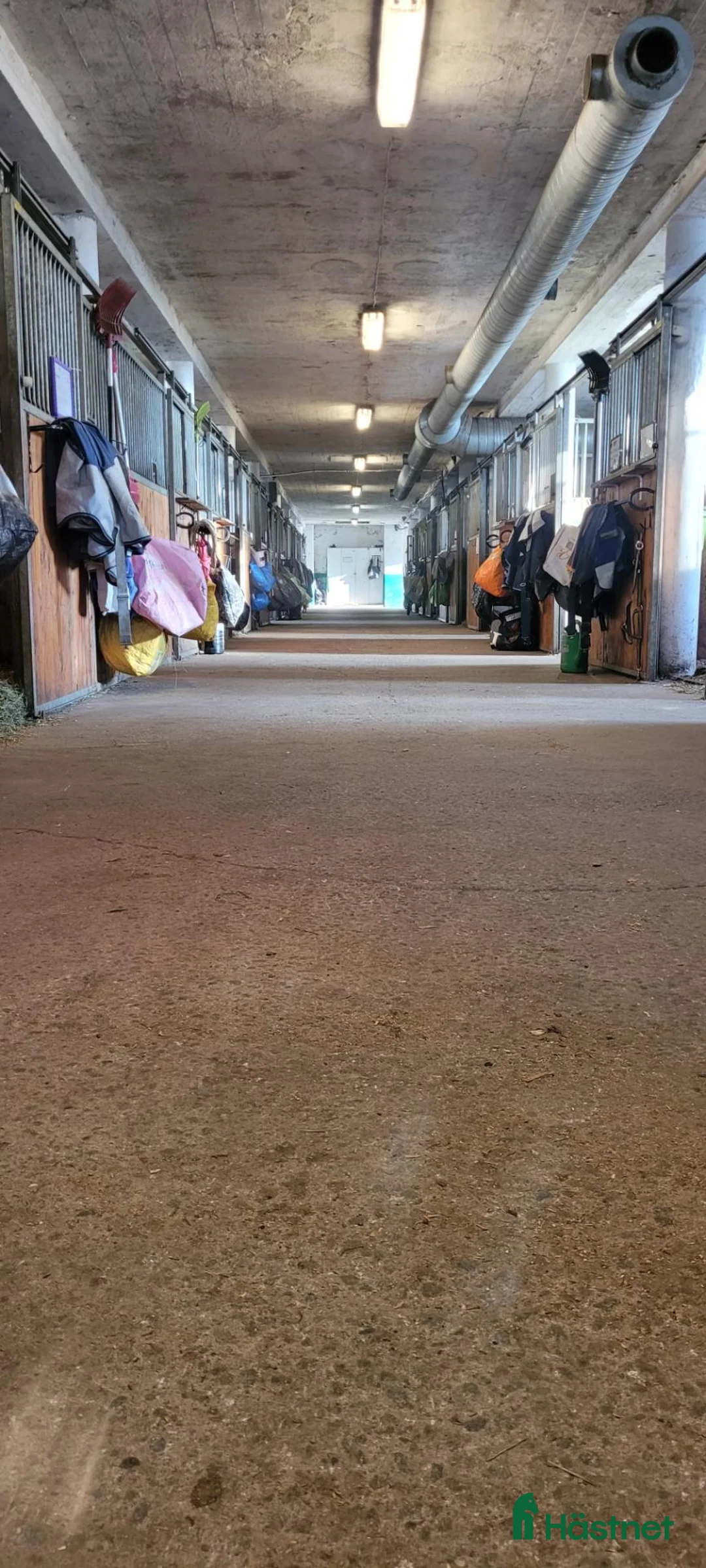  stallplats finnes: Stallplats på komplett anläggning - Annons 6