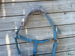 Övrig Hästutrustning hästutrustning till salu: Horse unique grimma i Habo - Annons 1