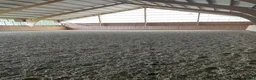  stallplats finnes: Det trivsamma stallet med allt - Annons 4