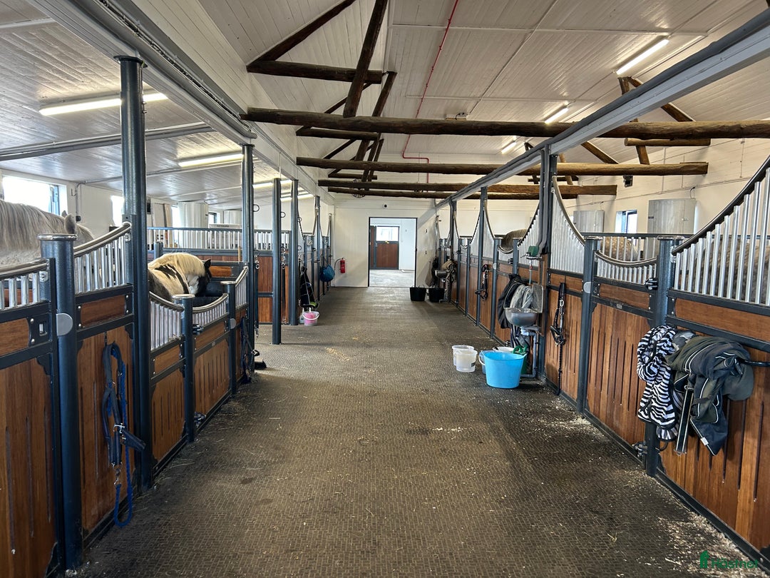  hästjobb finnes: Ansvarsfull medarbetare sökes i Kungsbacka - Annons 4