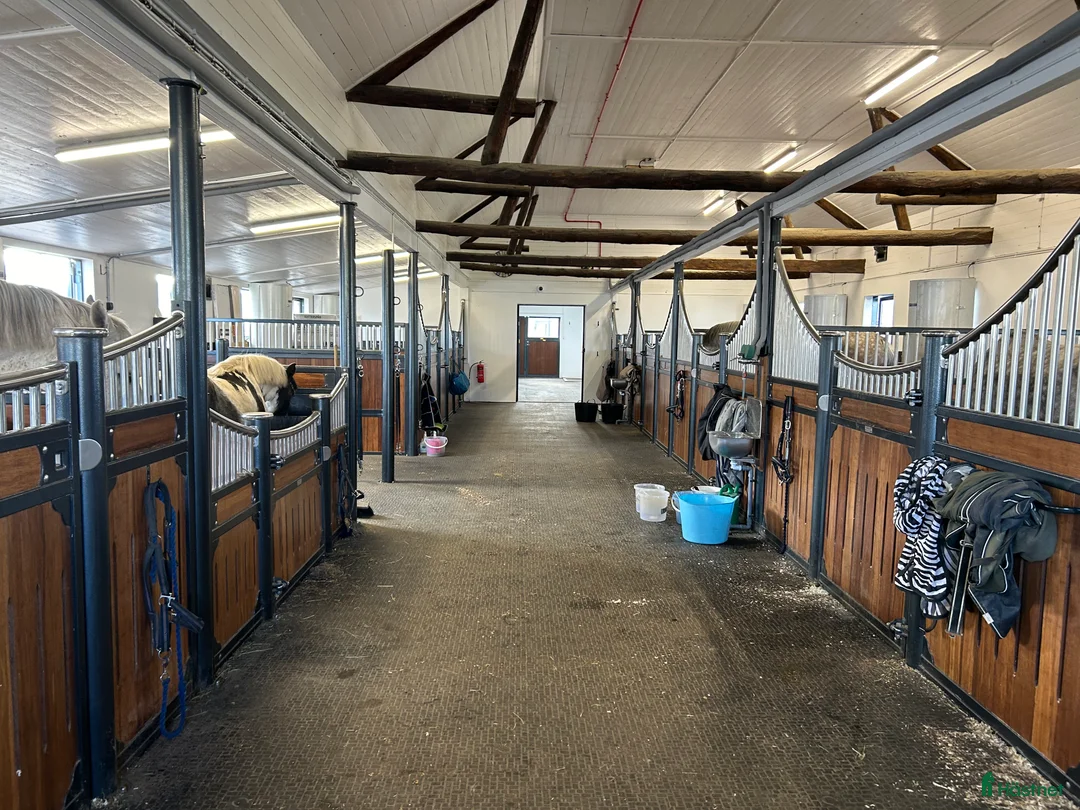  hästjobb finnes: Ansvarsfull medarbetare sökes i Kungsbacka - Annons 4