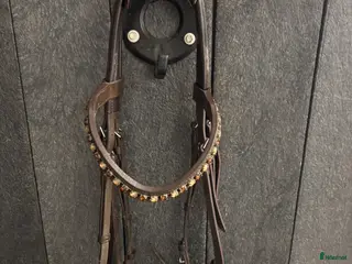 Träns hästutrustning till salu: Kandar Otto Schumacher i Gränna - Annons 1