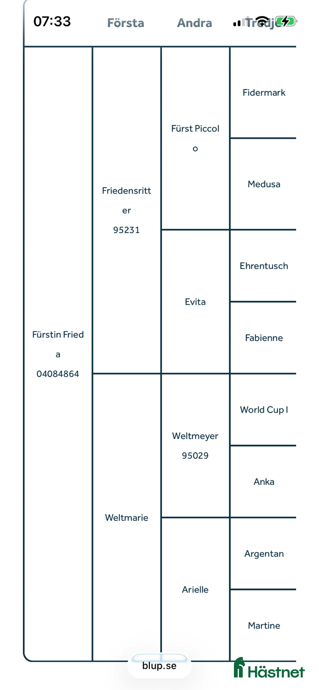 Avelshästar hästar till salu: Avelssto dressyr  - Annons 6