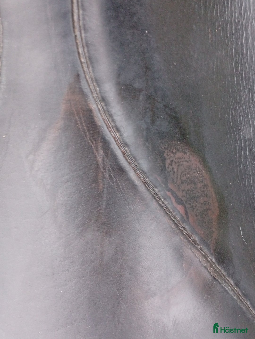 Sadlar hästutrustning till salu: Supertrevlig dressyrsadel i Hudiksvall - Annons 7