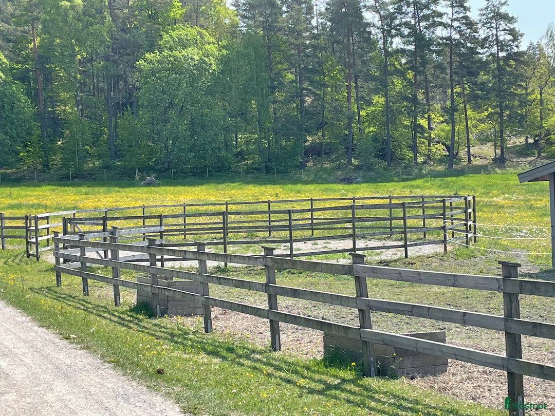  stallplats finnes: Lösdrift  i Sorunda - Bild 4