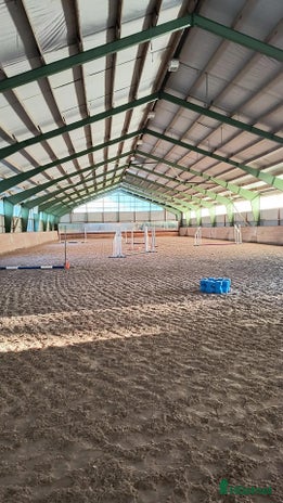 hästservice i Lerdala - Annons 10