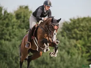 hästar ⭐️VÄLDIGT SNÄLL TJEJ MED MYCKET SCOOP OCH TALANG⭐️ - Annons 3