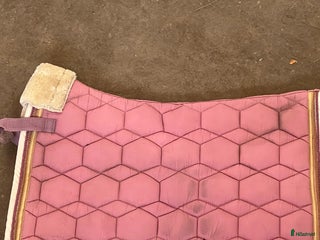 Schabrak & Vojlockar hästutrustning till salu: Rosa trinity schabrak i Simlångsdalen - Annons 23