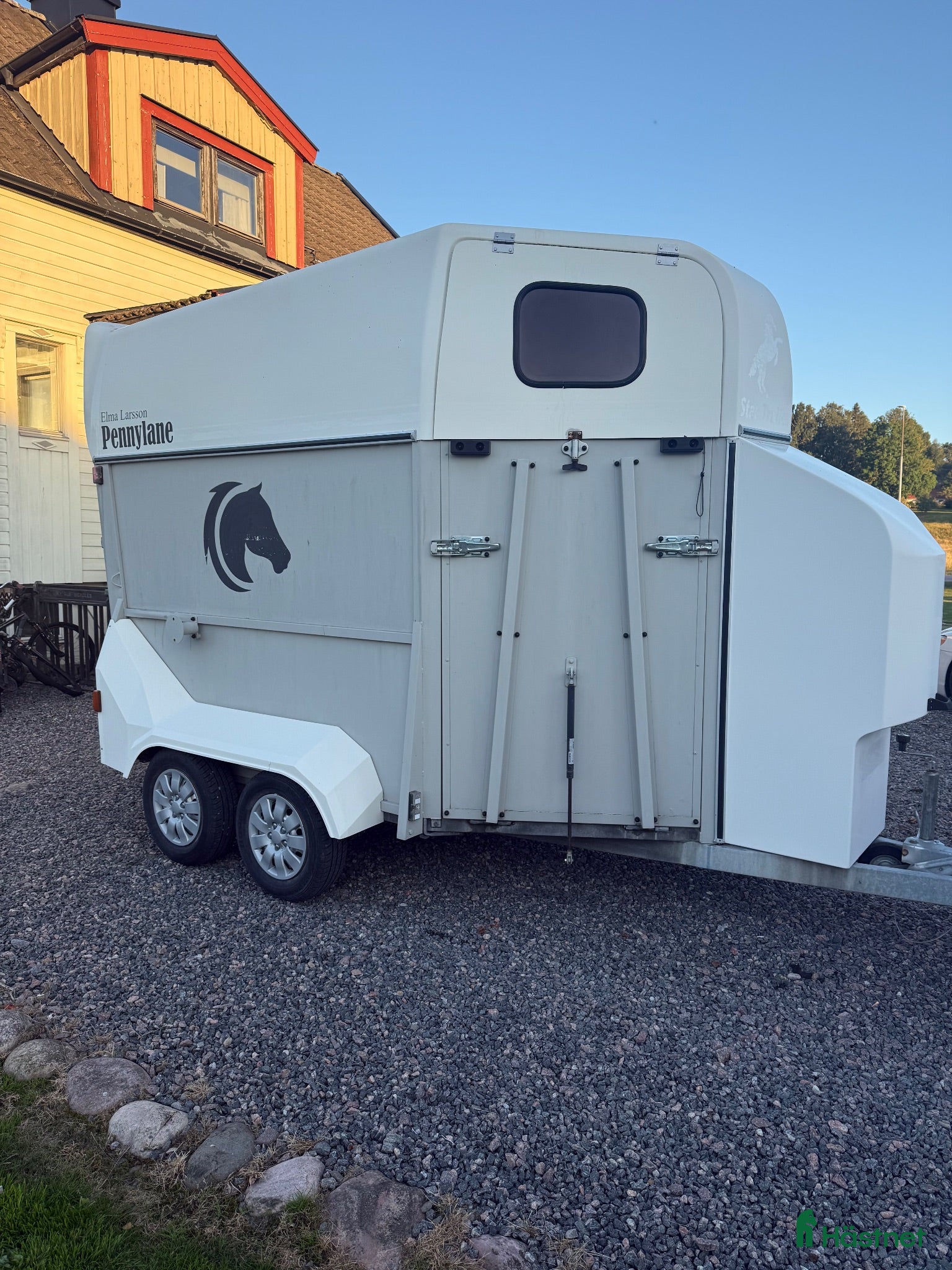 Hästtransporter  fordon & transport till salu: Fräsch Star Trailer Diamant - Annons 4