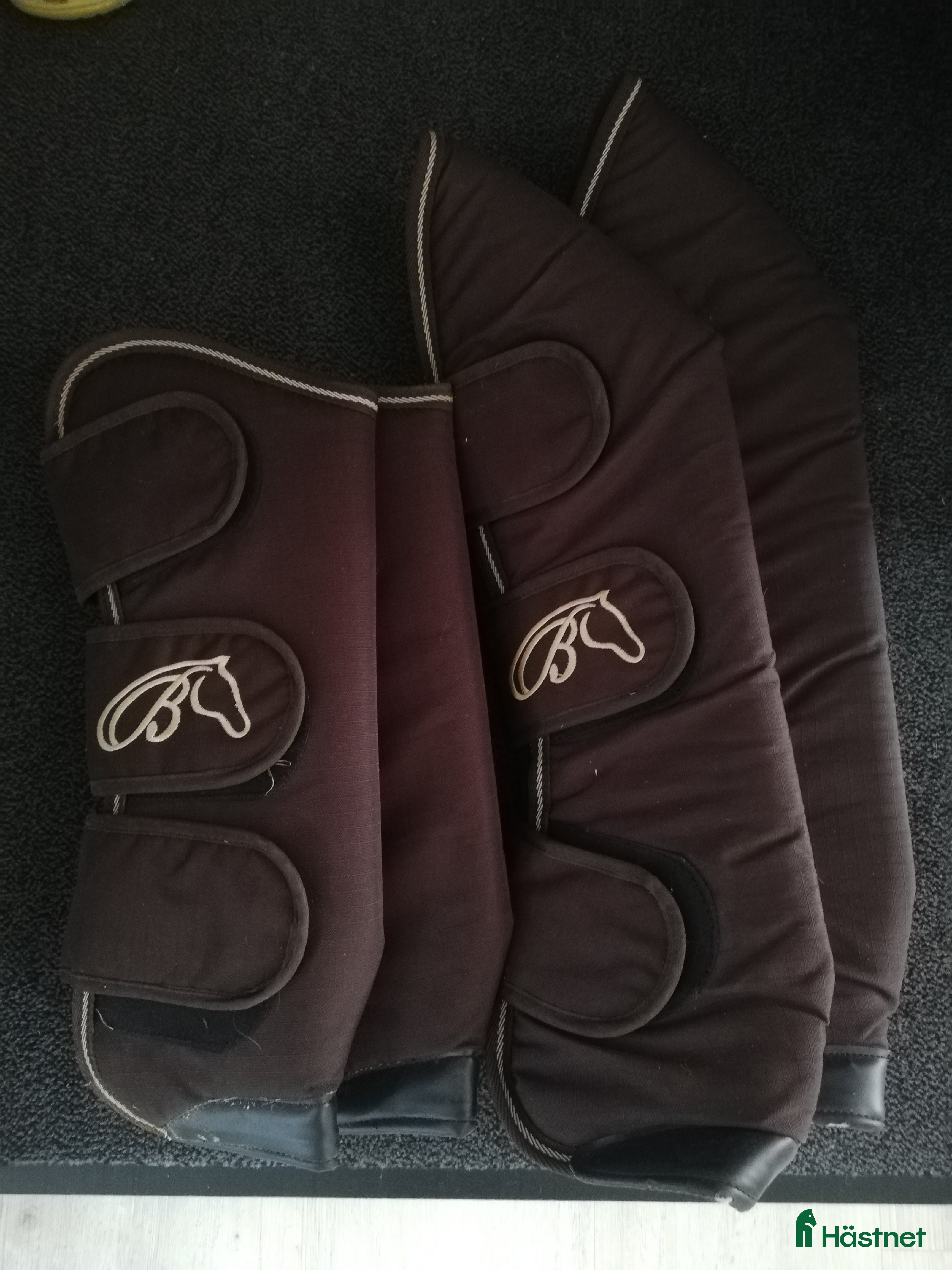 Övrig Hästutrustning hästutrustning till salu: Transportskydd  i Sundsvall - Annons 8