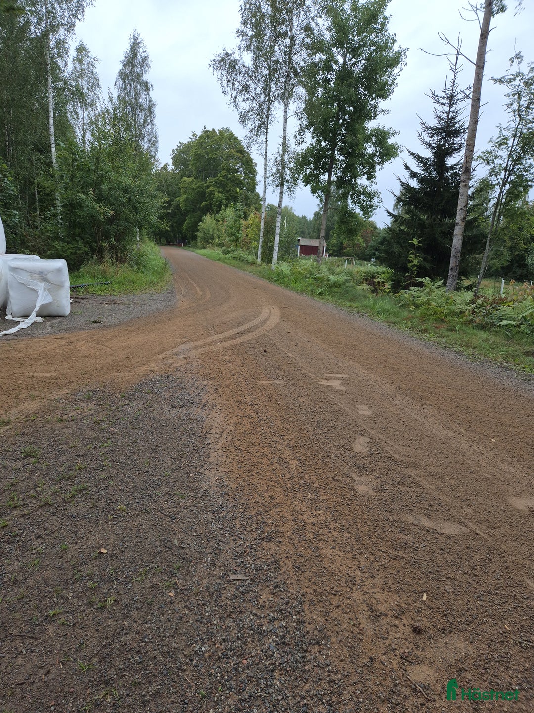  hästservice finnes: Rehab, boxvila, miljöombyte i Sala - Annons 1