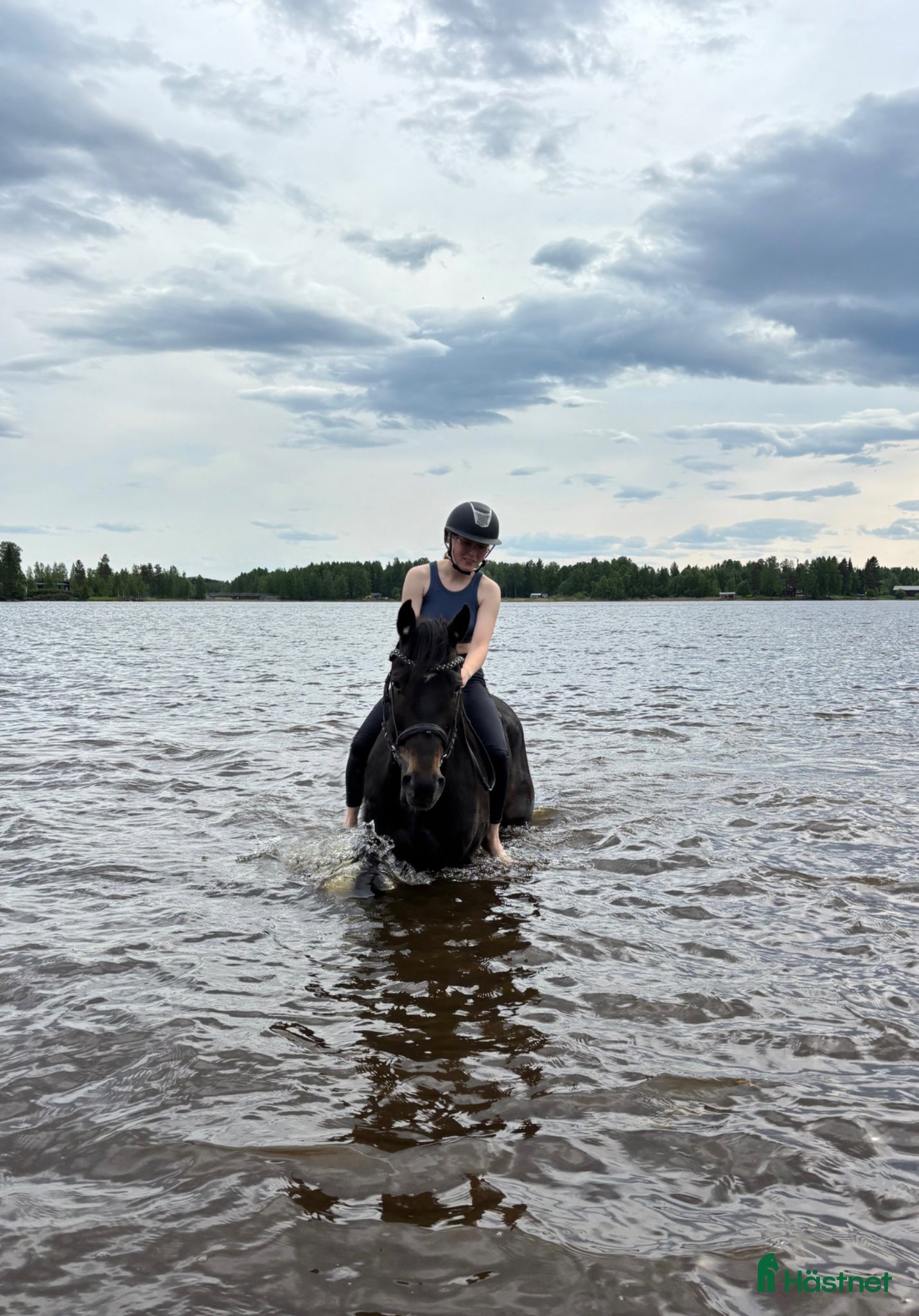 Allround hästar till salu: Super rolig och snäll bästa vän - Annons 3