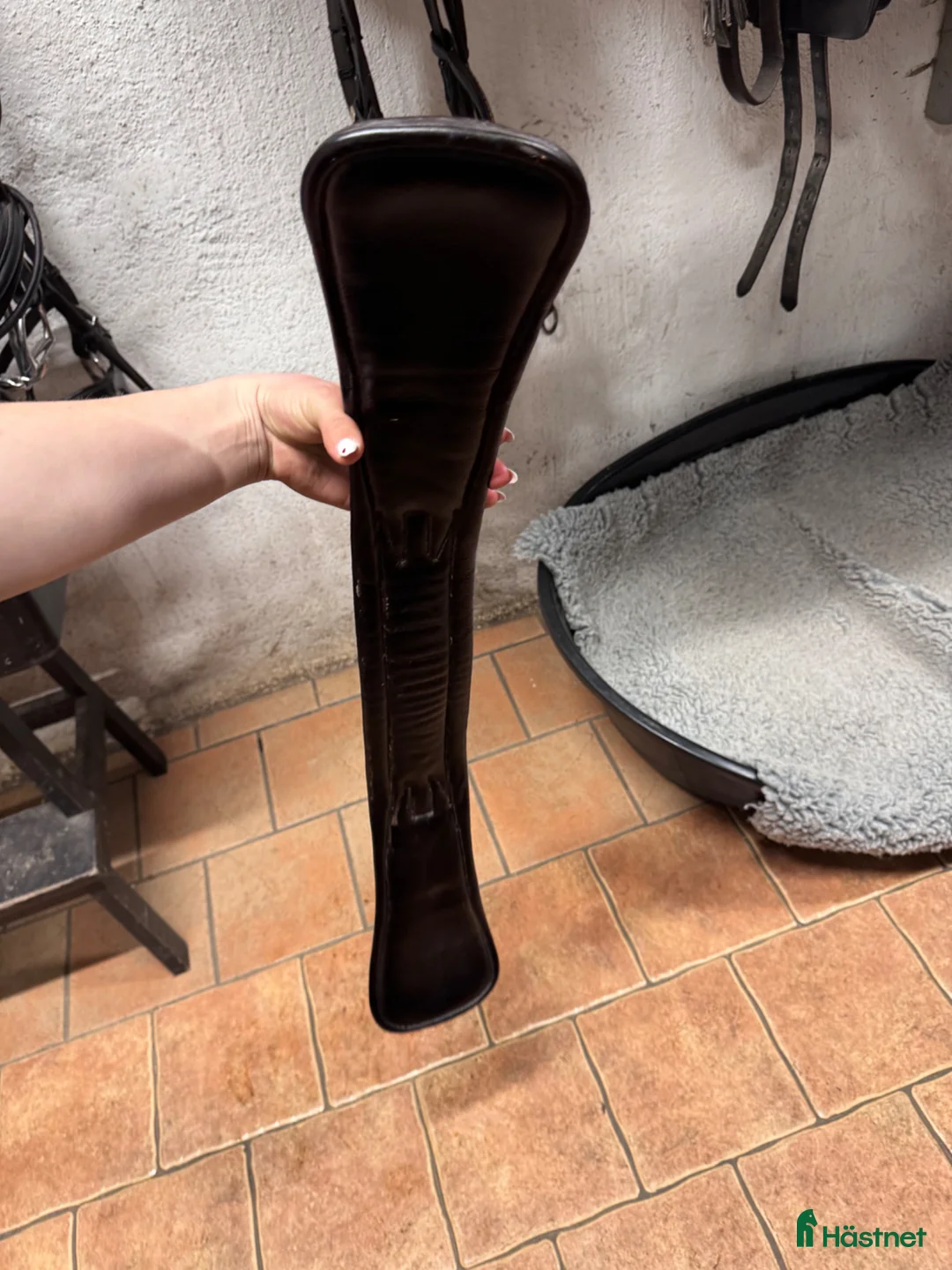 Sadeltillbehör hästutrustning till salu: Schockemöhler dressyrgjord  - Annons 4