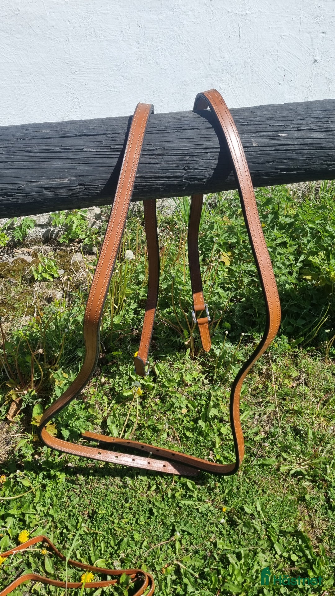 Körselar körning till salu: Cognac färgad bröstsele X-full i Eskilstuna - Annons 5