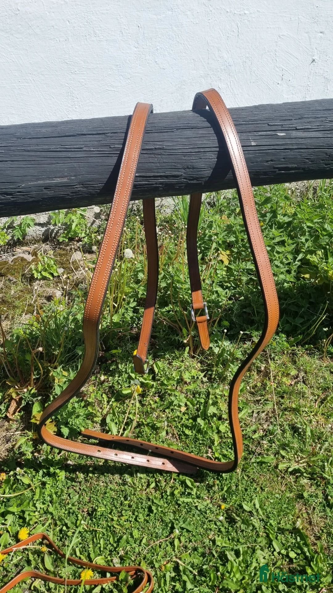 Körselar körning till salu: Cognac färgad bröstsele X-full i Eskilstuna - Annons 5