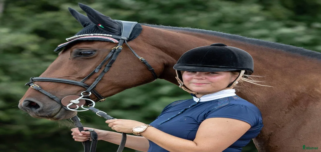 Galleribild {{count}}