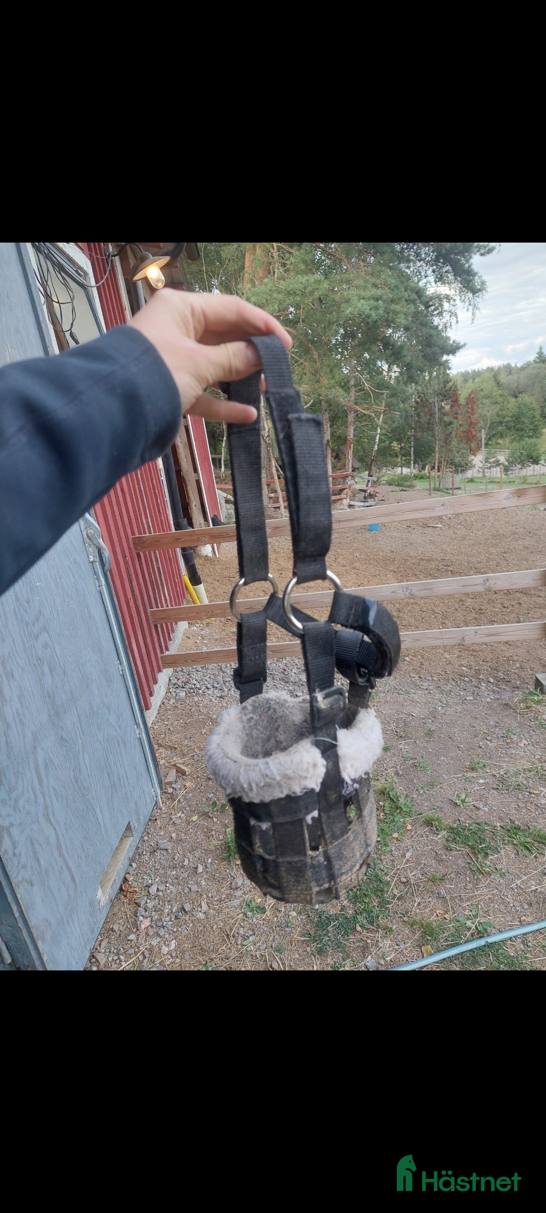 Övrig Hästutrustning hästutrustning till salu: Betesreducerare minishettis  i Gnesta - Annons 1