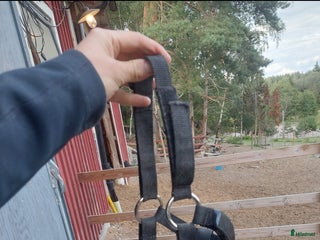 Övrig Hästutrustning hästutrustning till salu: Betesreducerare minishettis i Gnesta - Annons 7