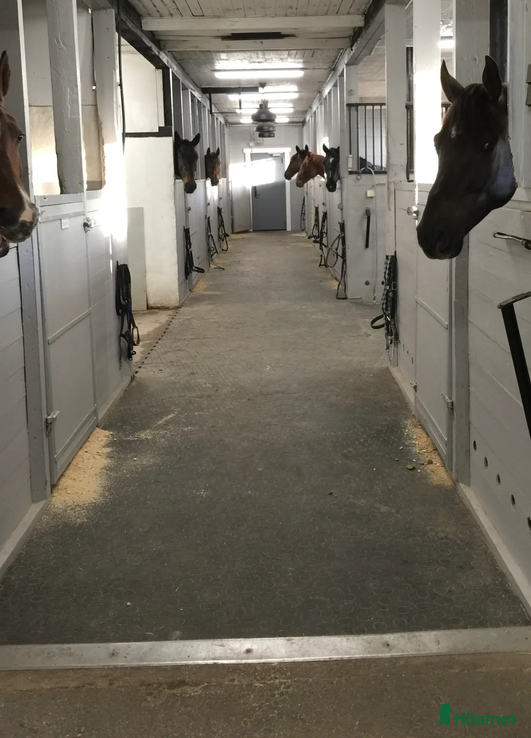  stallplats finnes: Stallplats Rosersberg med dressyrinriktning - Annons 2