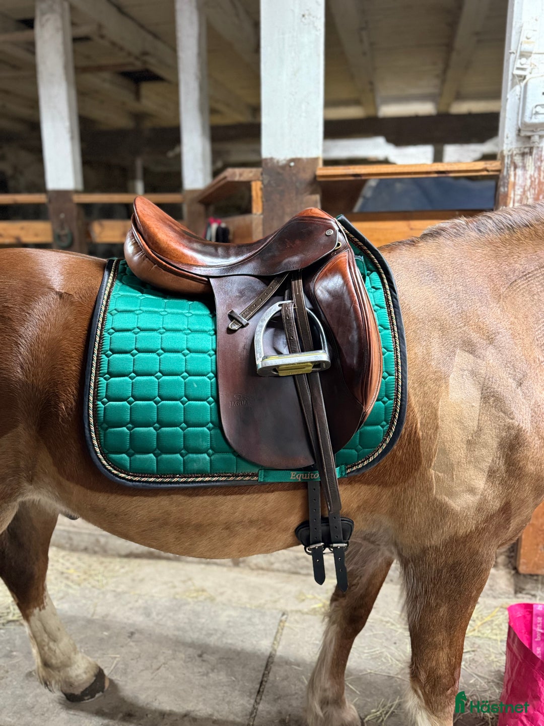 Sadlar hästutrustning till salu: Jaguar Dressyrsadel  i Uppsala - Annons 6
