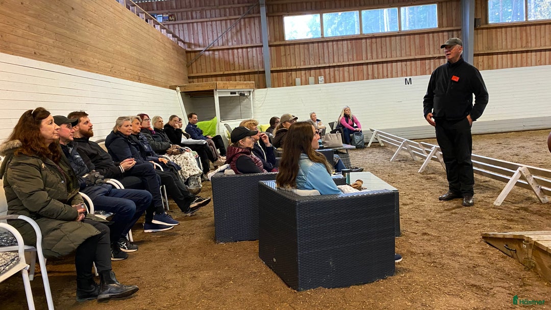  stallplats finnes: Behöver du stallplats på Ekerö?  i Skå - Annons 14