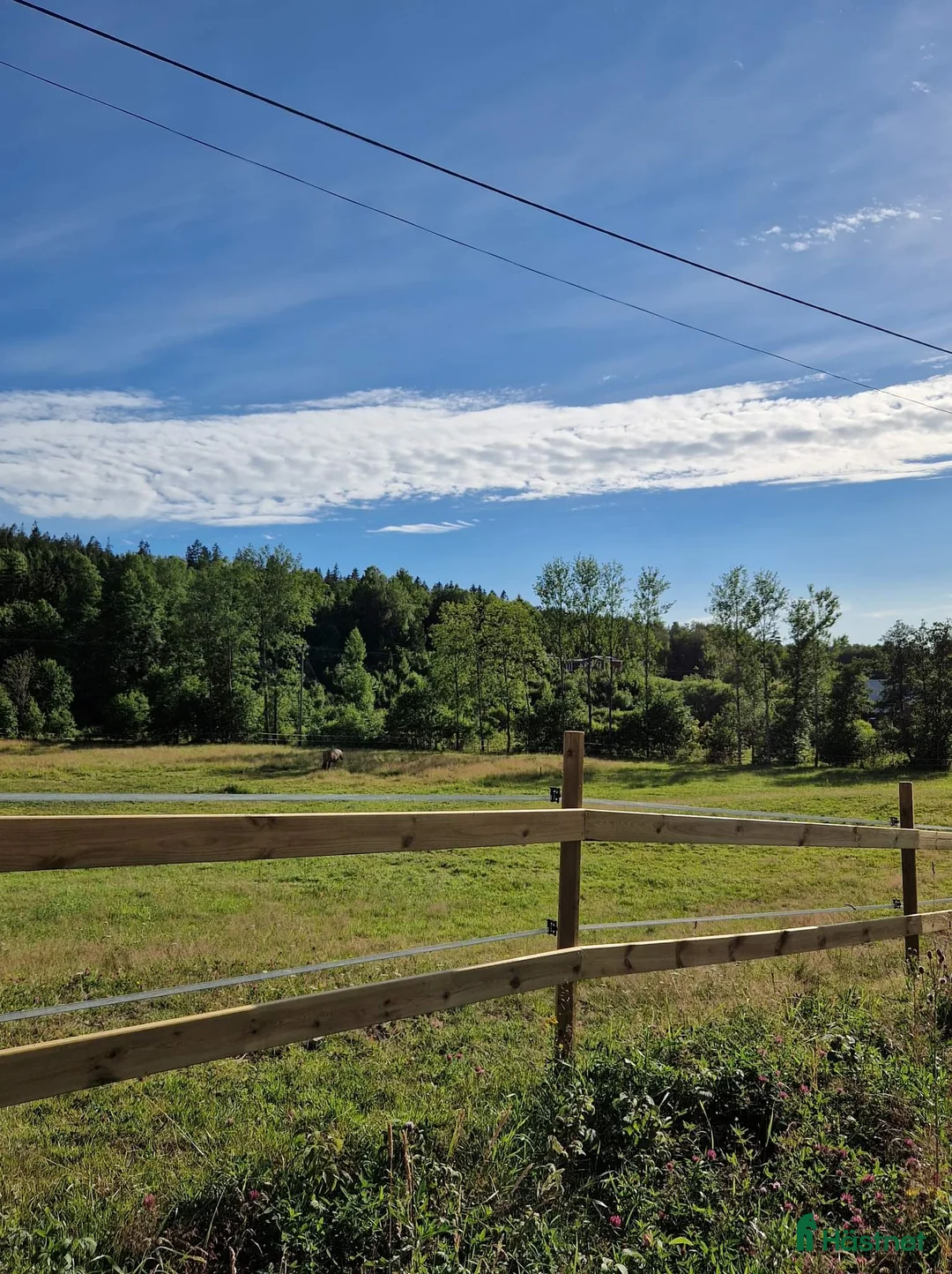  stallplats finnes: Stallplats ledig I Lilla edet - Annons 1