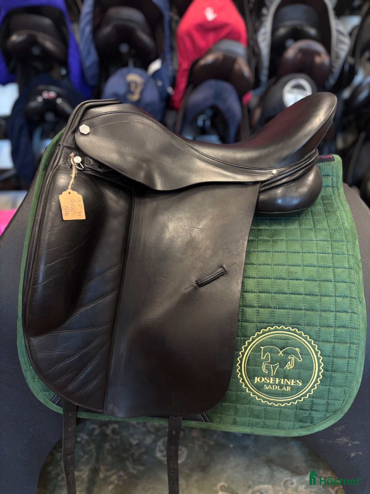 Sadlar hästutrustning Albion Platinum - Annons 3