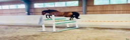  stallplats finnes: Sjövillans gård, stallet vid Mälarens strand! - Annons 4