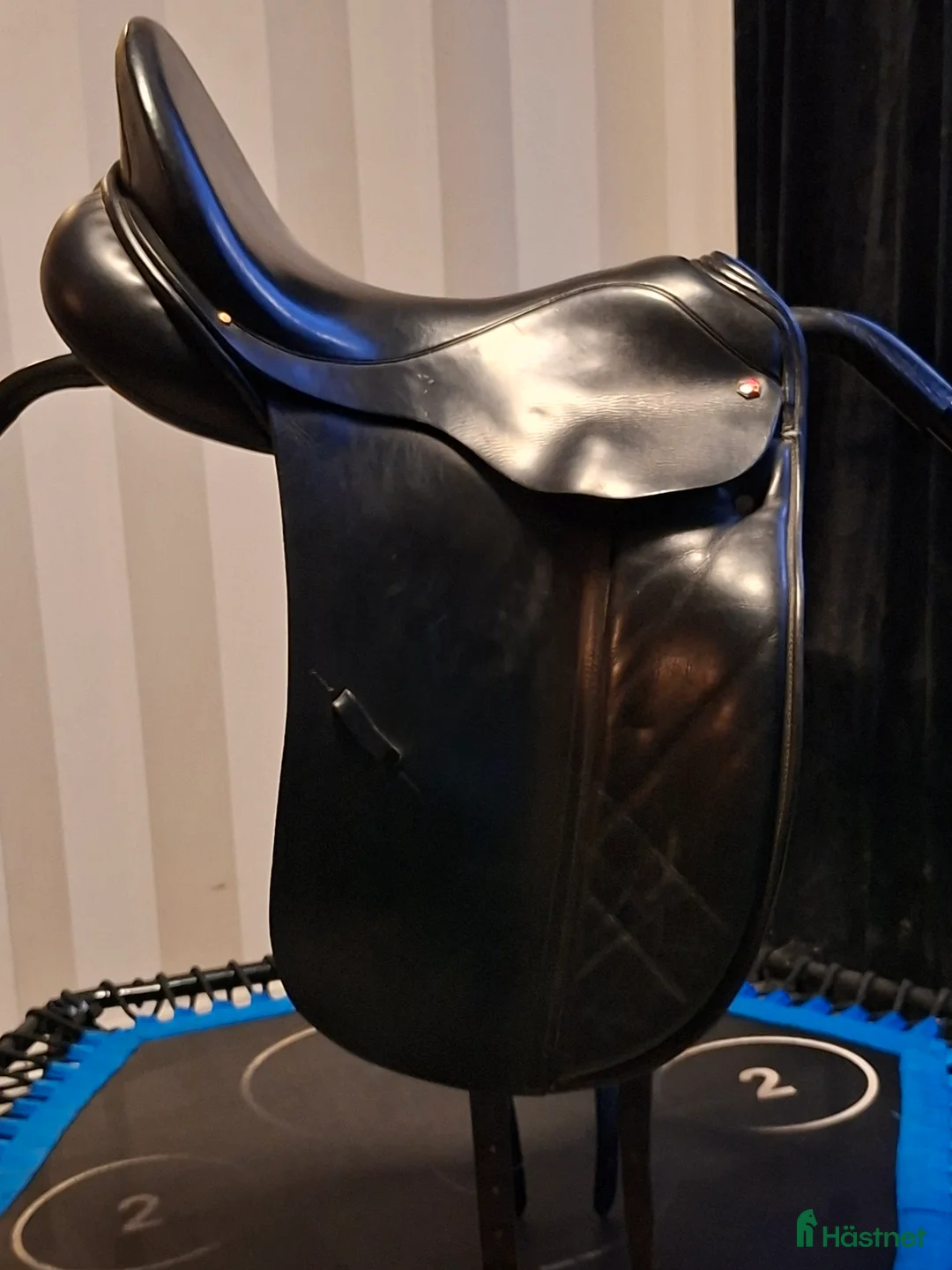 Sadlar hästutrustning till salu: Dressyrsadel Albion SLK - Annons 1