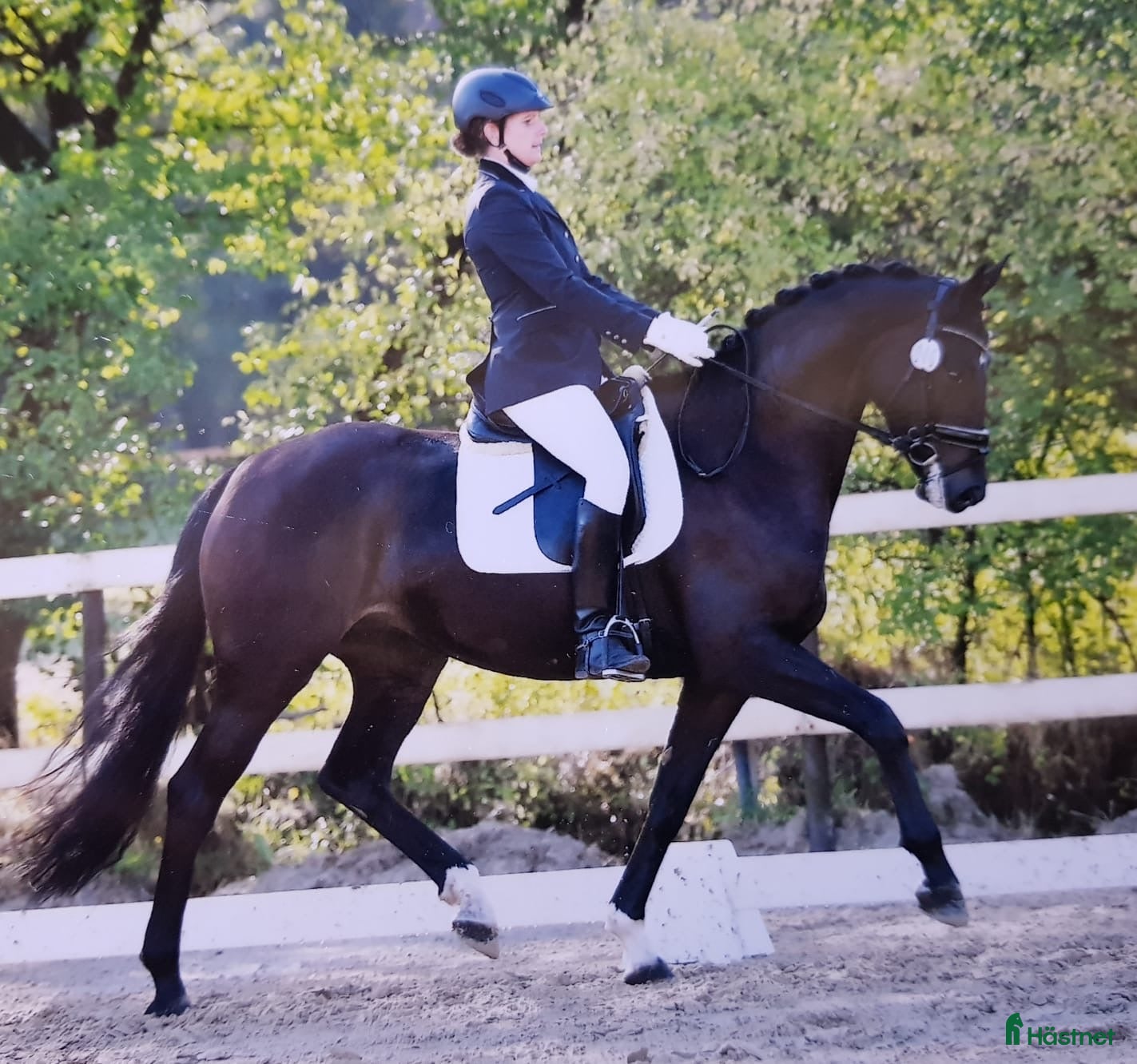  hästar Toppsto för dressyravel i Habo - Annons 7