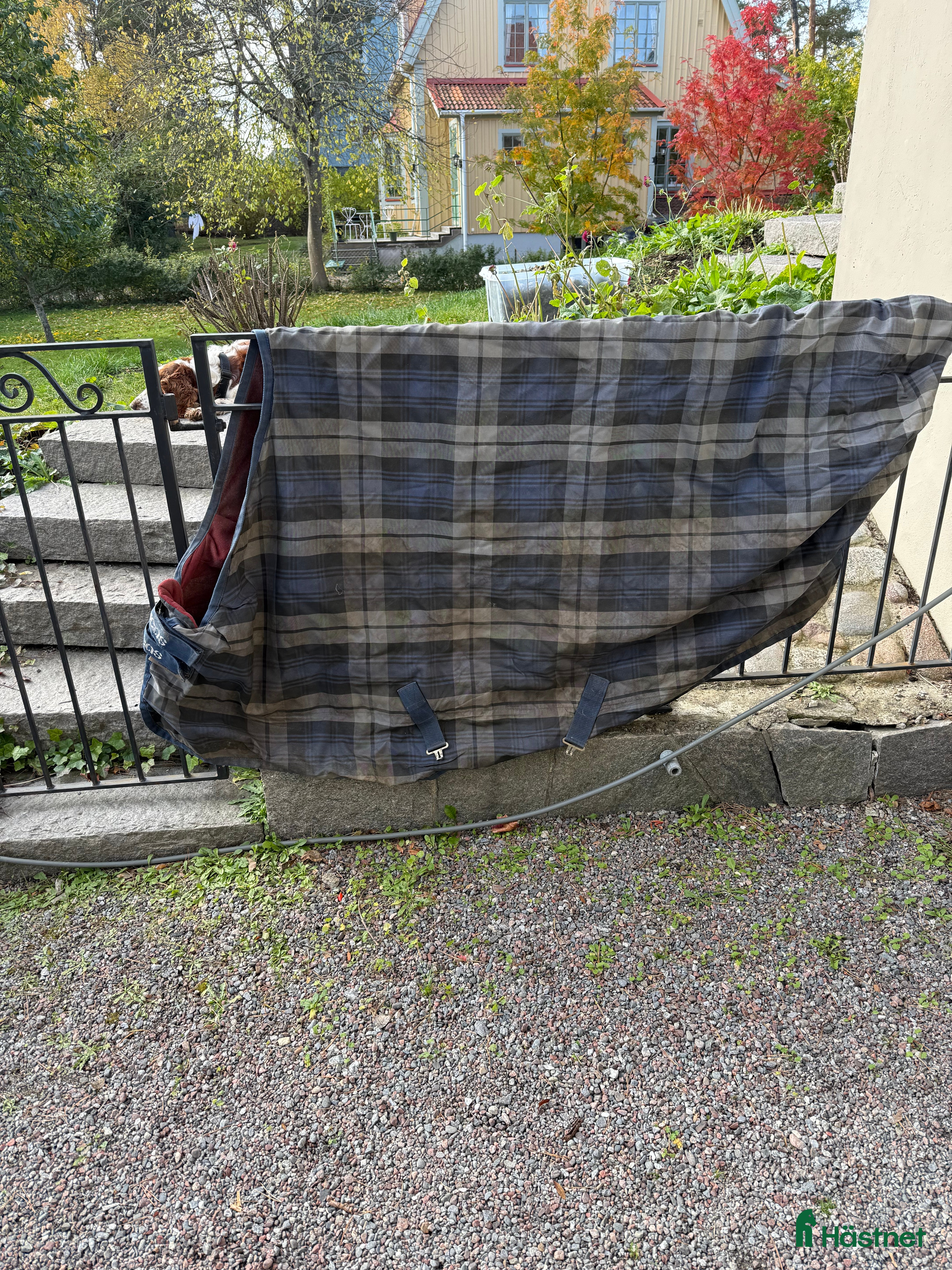 Täcken hästutrustning till salu: Bucas stalltäcken billigt i Bromma - Annons 9