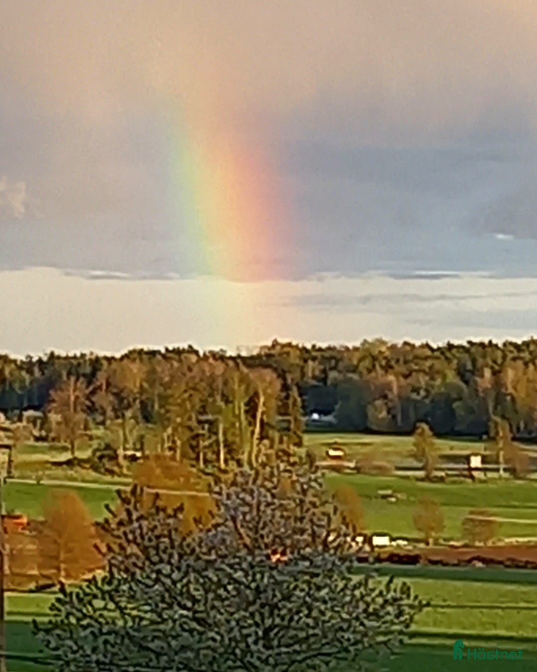  stallplats finnes: Stallplats Ekeby Säteri I Tungelsta  i Tungelsta - Annons 1