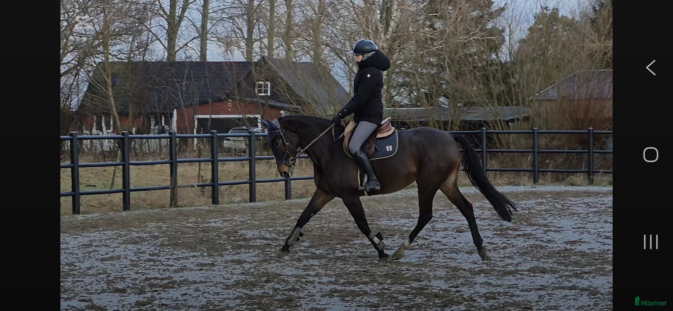  hästar 🎀 Utvecklingsbart 6års sto ev byte - Annons 1