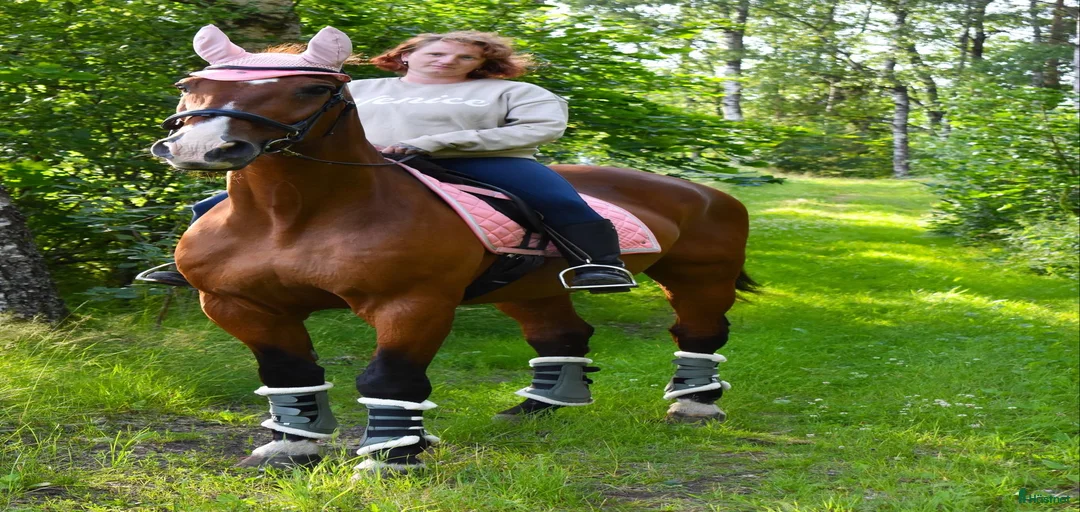 Galleribild {{count}}