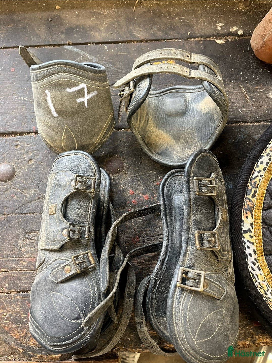 Övrig Hästutrustning hästutrustning till salu: Hästutrustning till salu i Björklinge - Annons 8