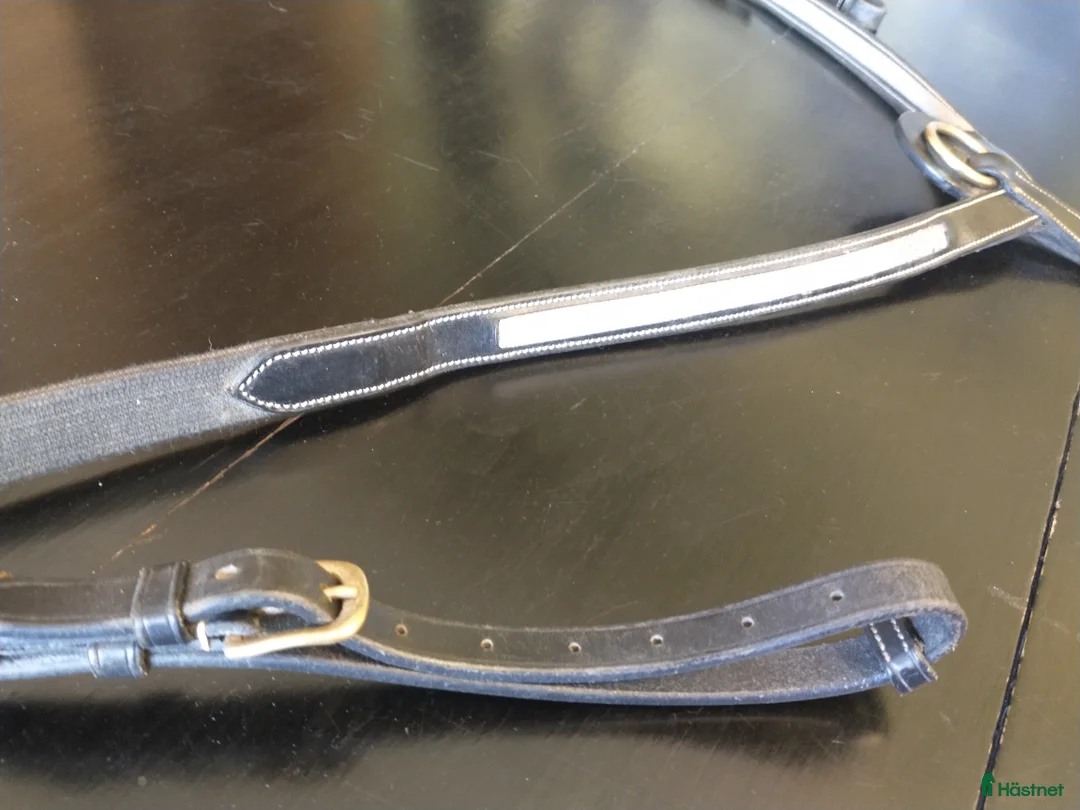 Övrig Hästutrustning hästutrustning till salu: Dyonförbygel med ormskinnlook i Tygelsjö - Annons 2