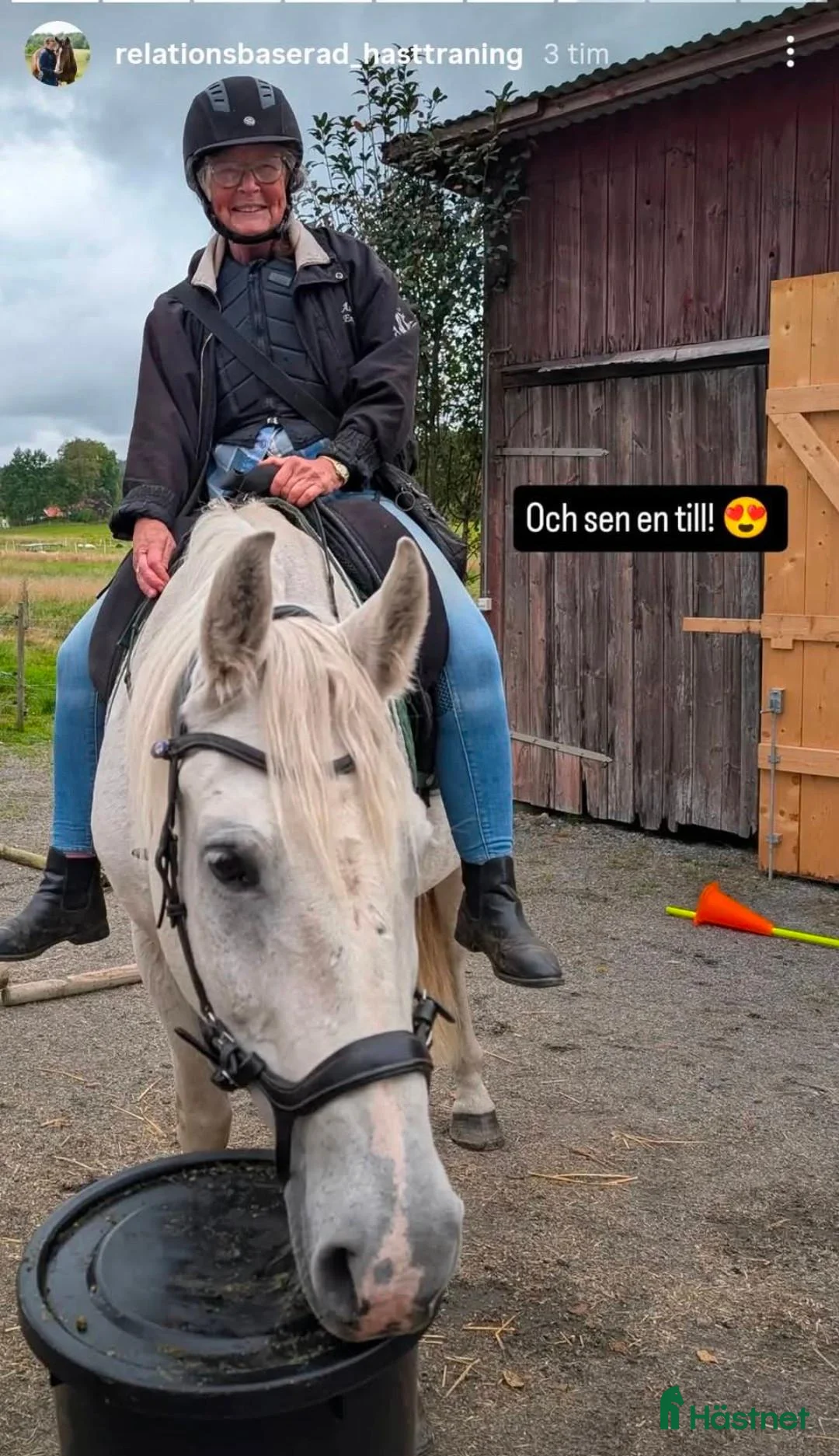  medryttarhäst finnes: Pajkos i Nol behöver ytterligare en människa! i Nol - Annons 5