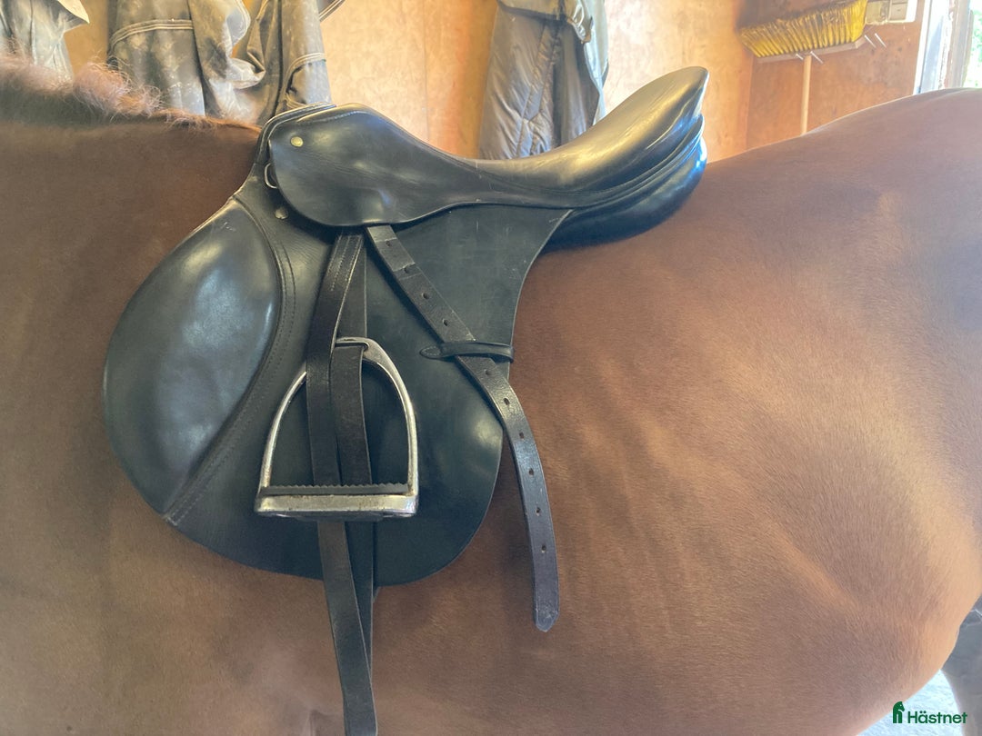 Sadlar hästutrustning till salu: Passier 17” allround i Trollhättan - Annons 1