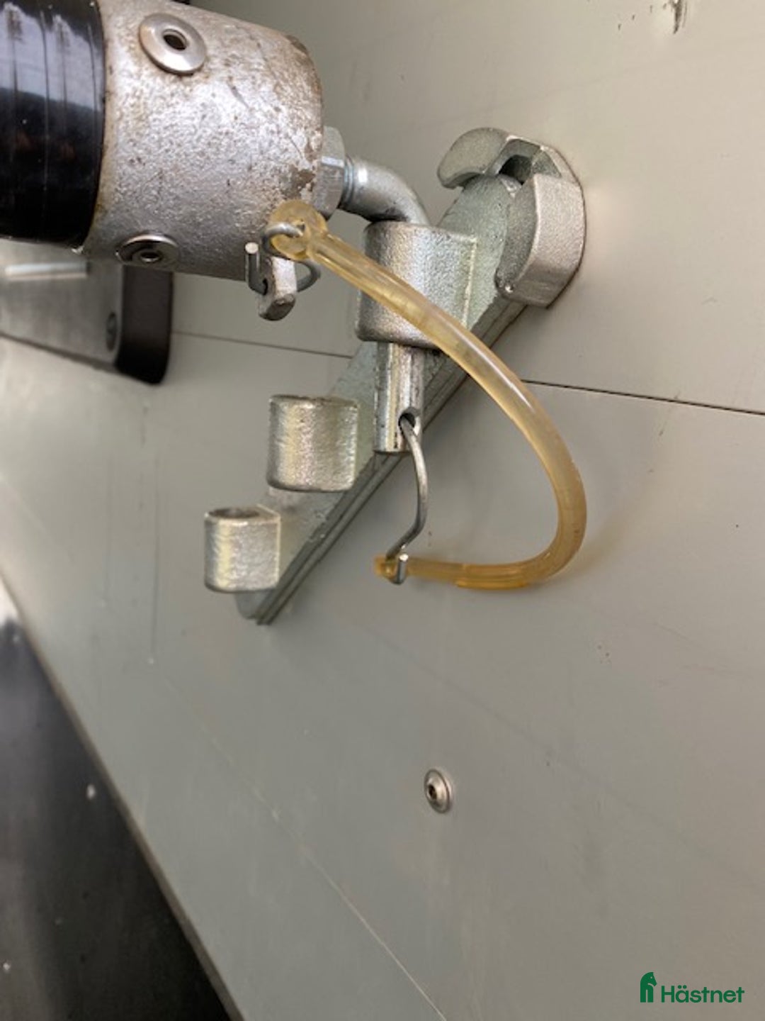 Hästtransporter  fordon & transport till salu: Hästransport  i Kinnarumma - Annons 6