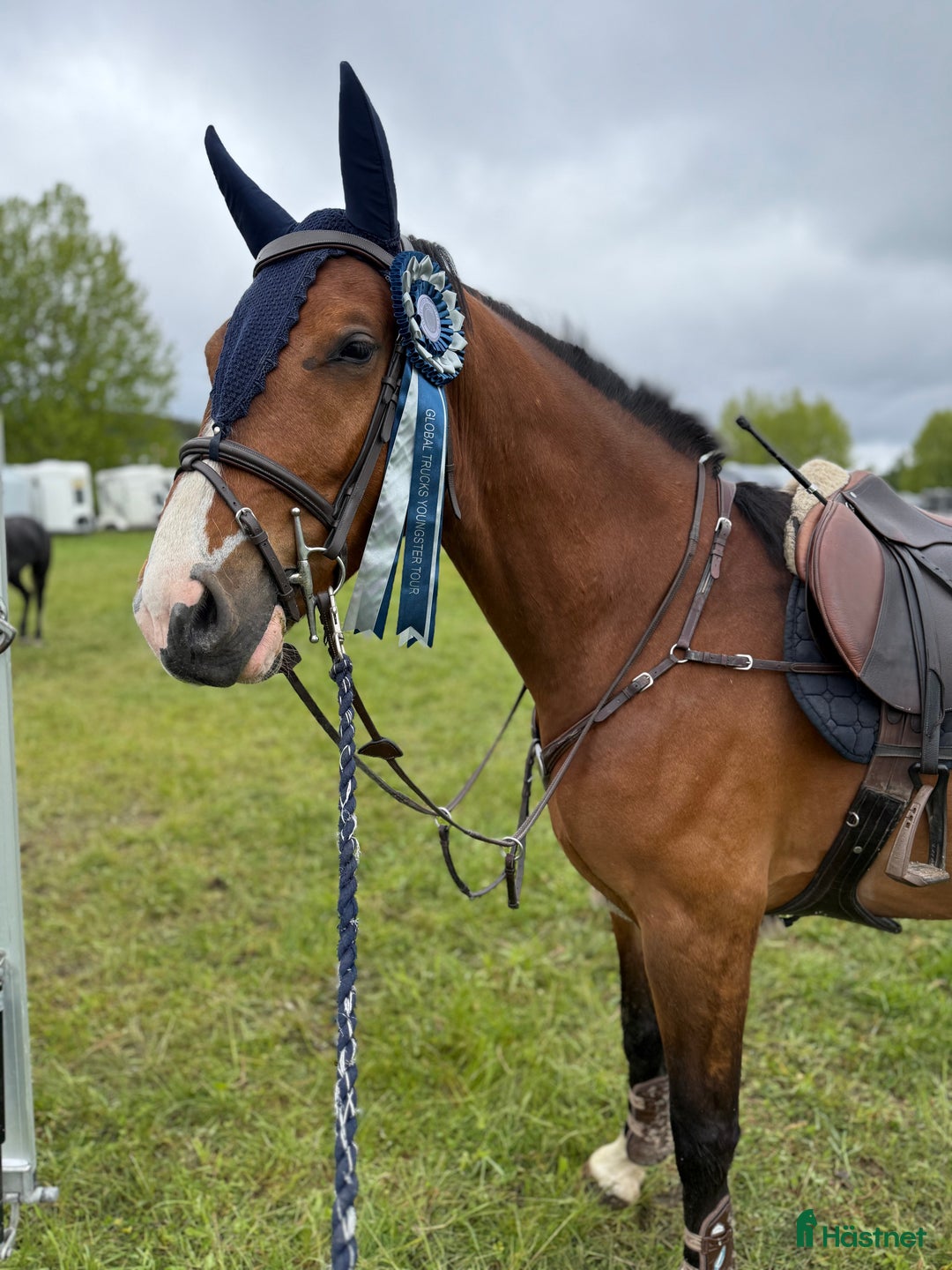 Hoppning hästar till salu: Super 4åring!   i Åtvidaberg - Annons 3